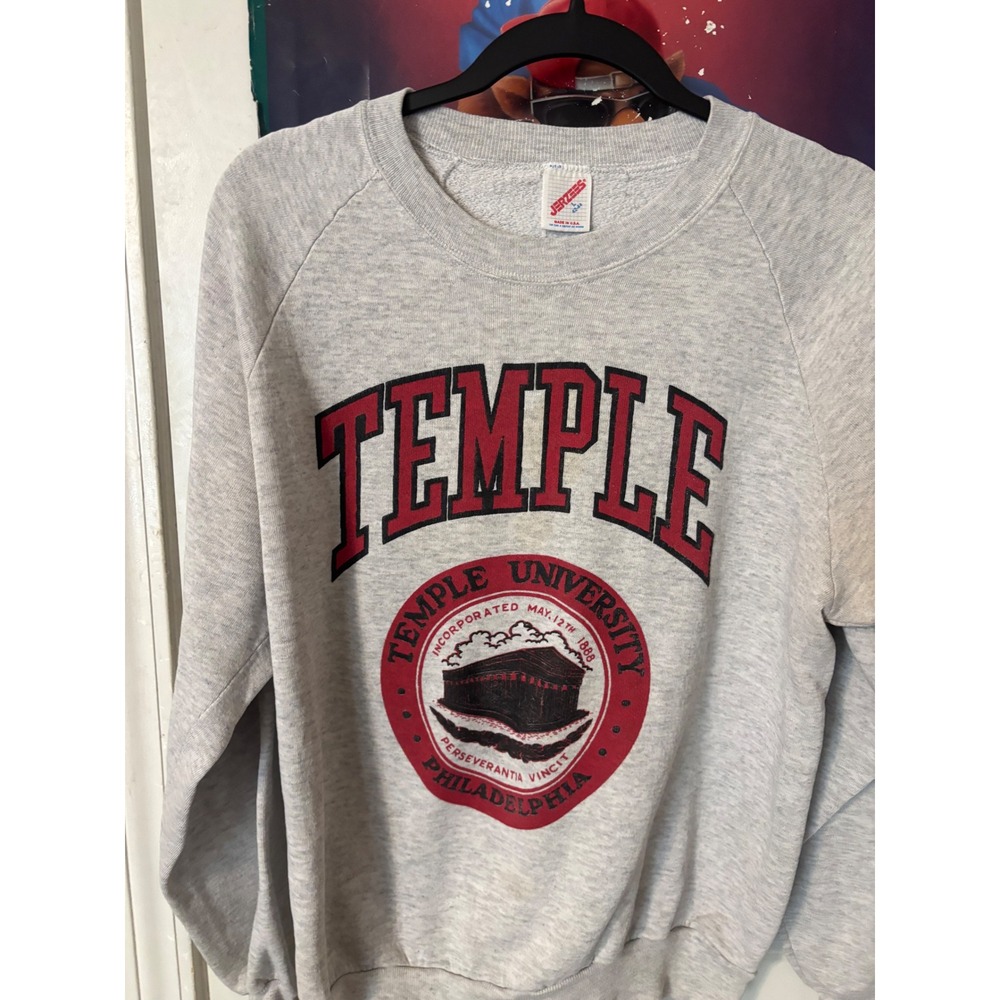 Vintage Jerzees Temple University Sweatshirt Mens Large Grey Made in USA 90s